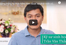 Khắc tinh của tế bào ung thư không ai khác chính là đông trùng hạ thảo